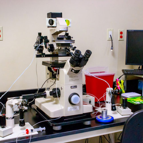 Lab equipment in lab at Damien Fertility Partners