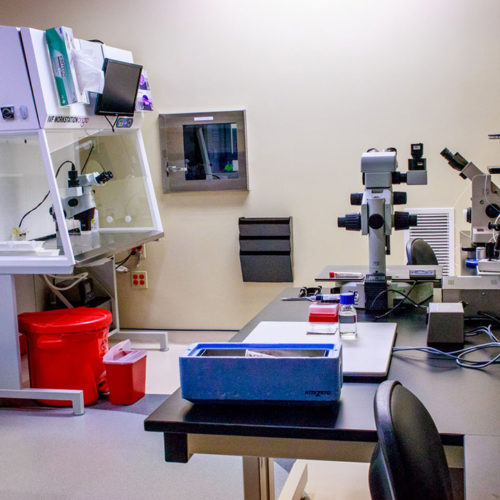 Lab equipment in lab at Damien Fertility Partners