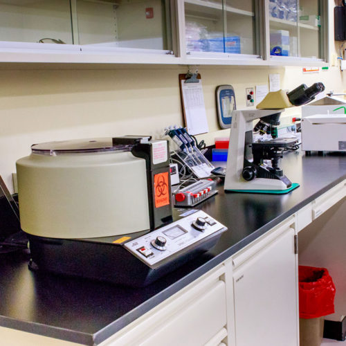 Lab equipment in lab at Damien Fertility Partners