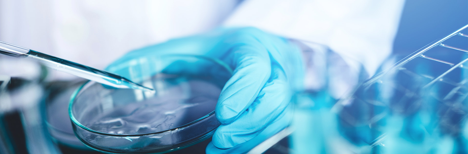 Petri dish held by lab worker